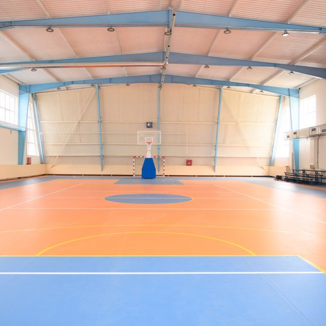 Complexul Sportiv al Universitatii Pedagogice de Stat Ion Crenaga din Chisinau, str. Ion Creanga 1 (2)