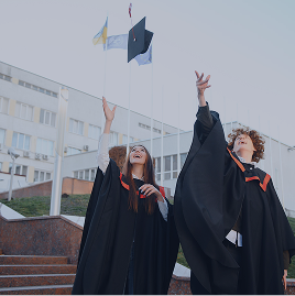 Image hover effect image