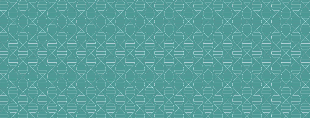 Image hover effect image