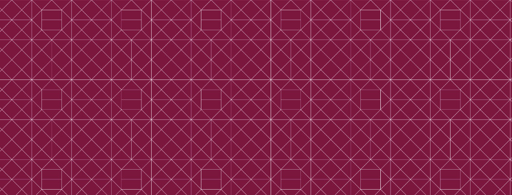 Image hover effect image