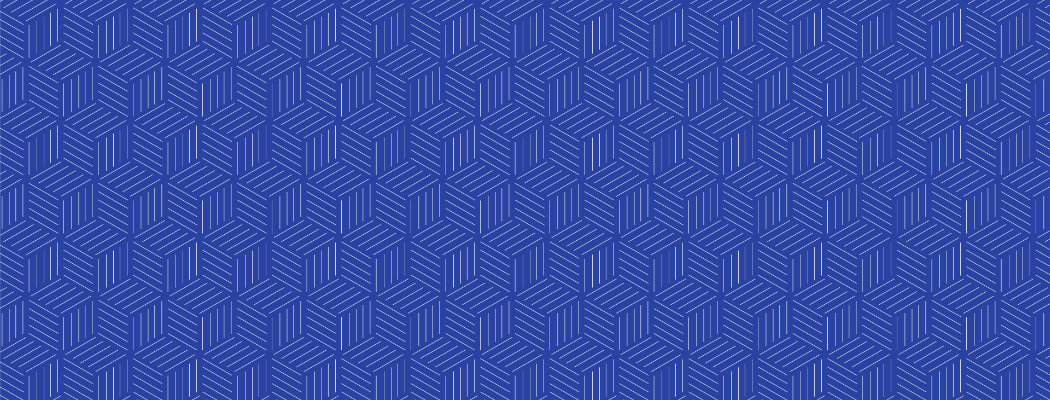 Image hover effect image